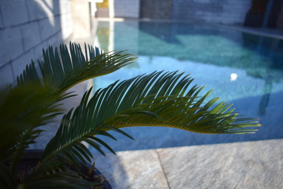 Photo of Others in Loo