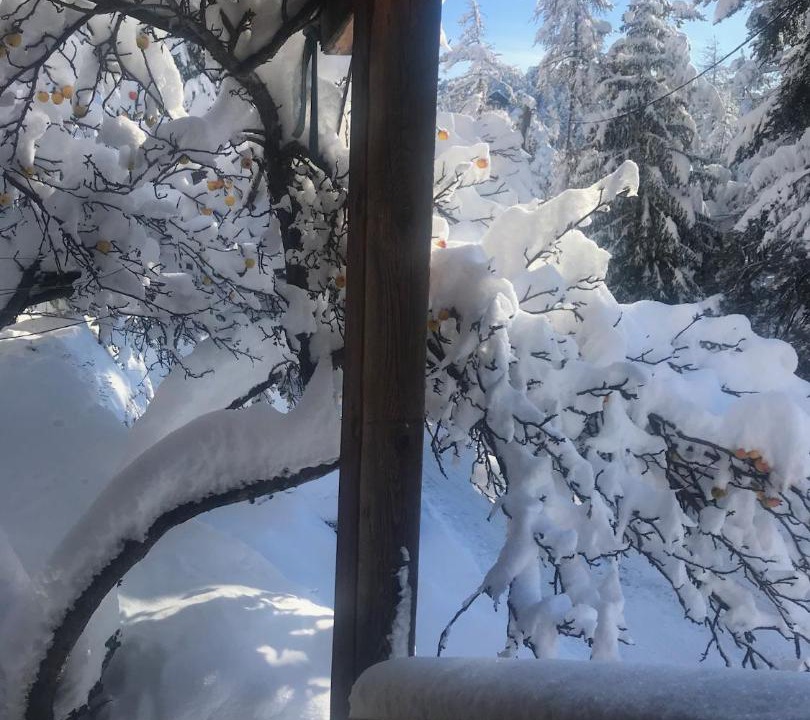 Photo of Others in Saint-Etienne-de-Tinee