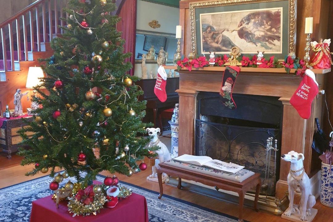 Photo of Others in Ongaonga