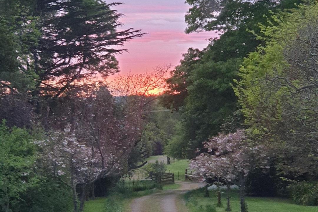 Photo of Others in Ongaonga