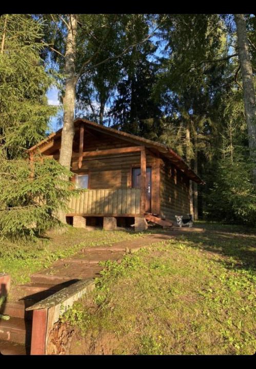 Photo of Buildings in Shchekoldino