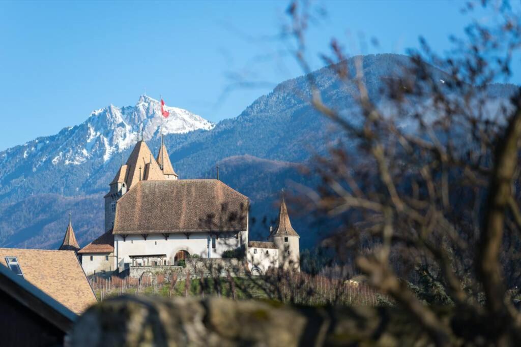 Photo of Others in Aigle