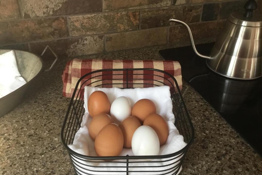 Photo of Others in Cazenovia