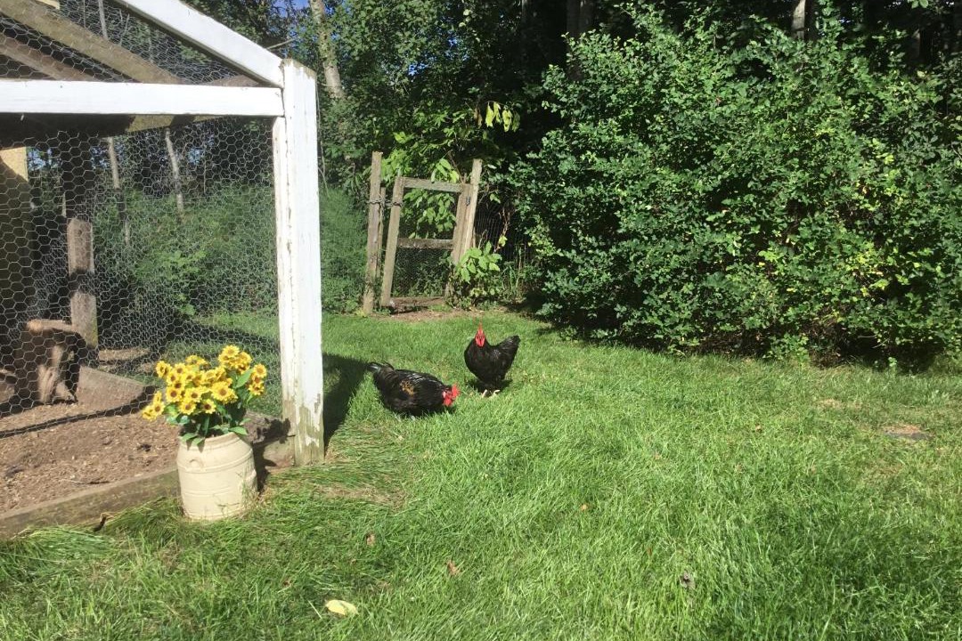 Photo of Others in Cazenovia