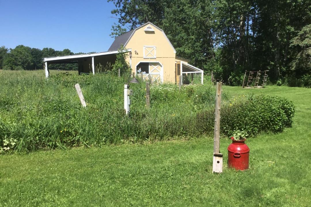 Photo of Buildings in Cazenovia