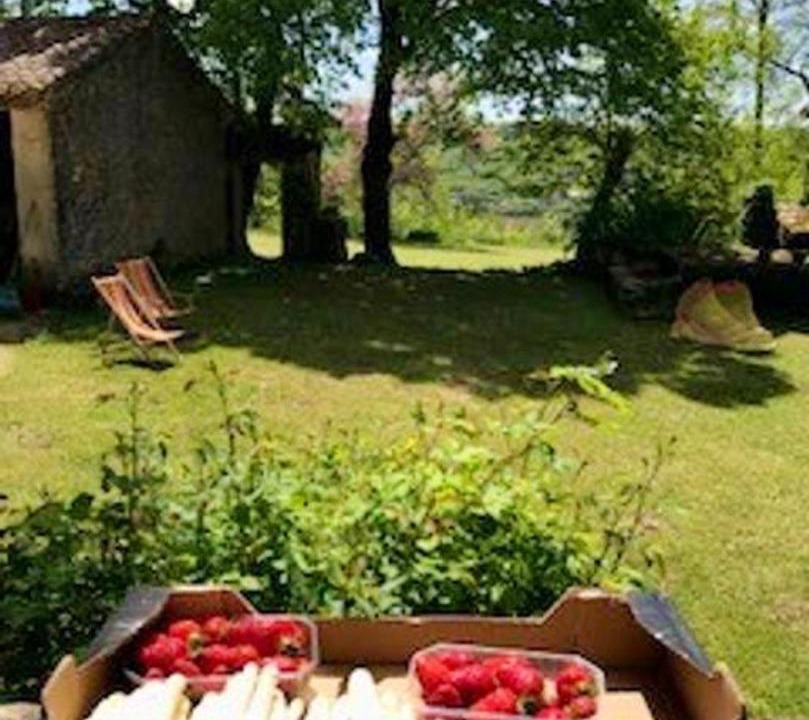 Photo of Others in Blanquefort-sur-Briolance
