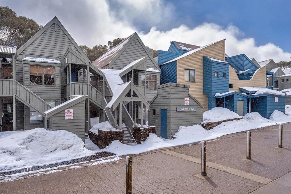 Photo of Others in Dinner Plain