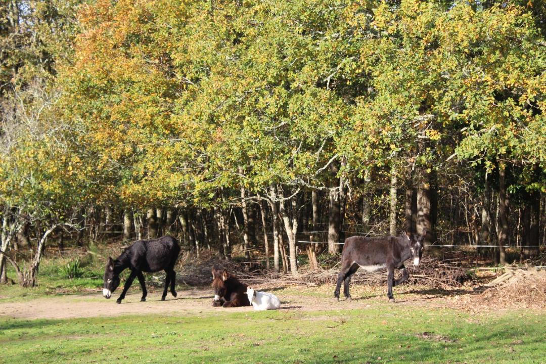 Photo of Others in Saint-Pierre-de-Chignac