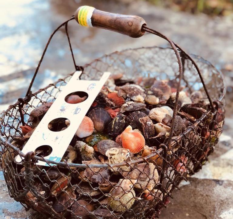 Photo of Others in Loix