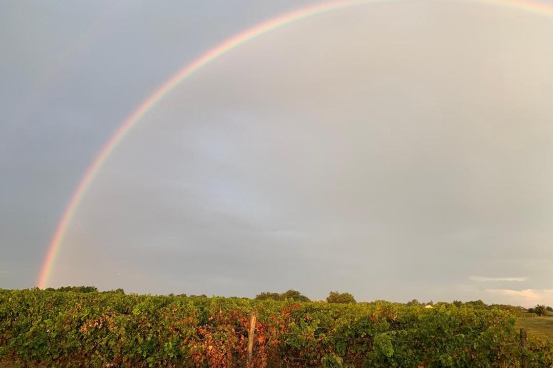 Photo of Others in Loix