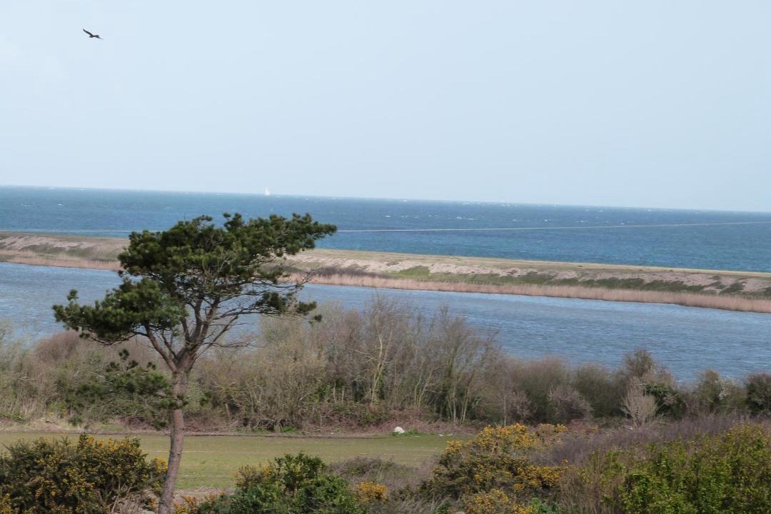 Photo of Others in Gatteville-le-Phare