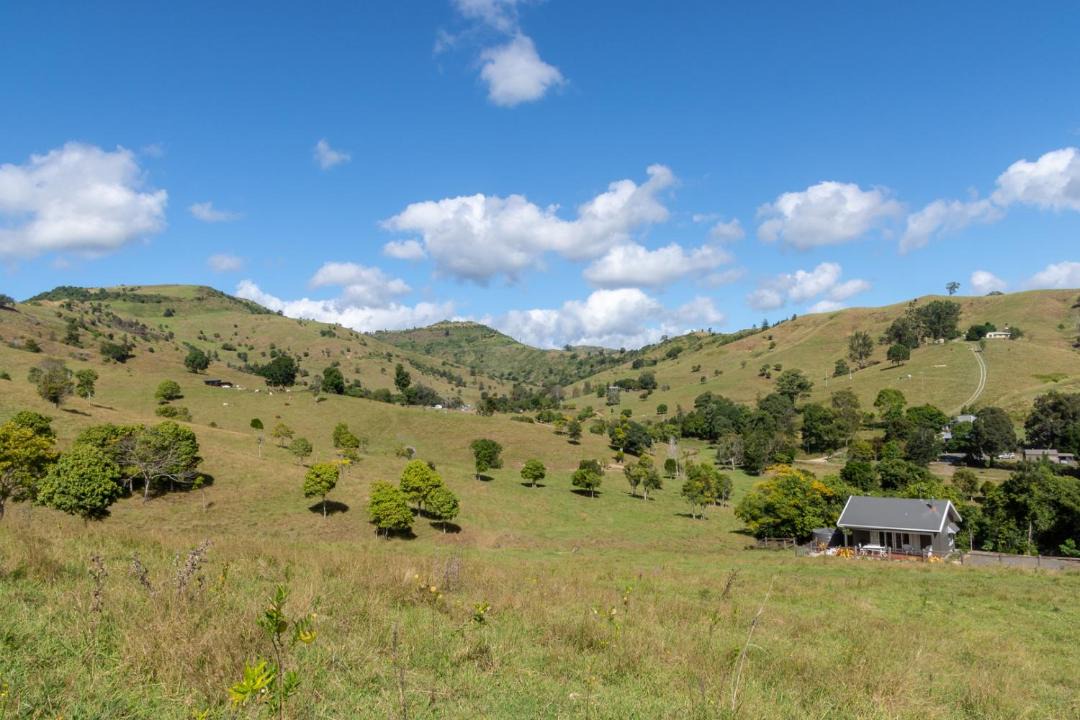 Photo of Others in Flying Fox