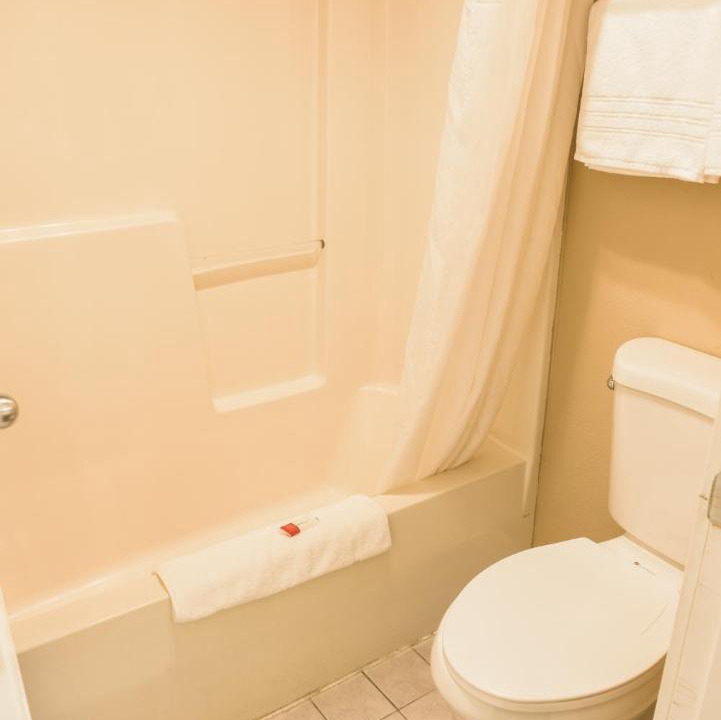 Photo of Others in Fife