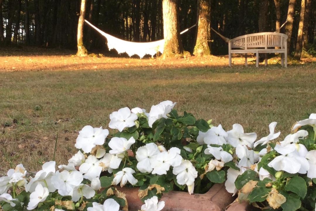 Photo of Others in Les Essards