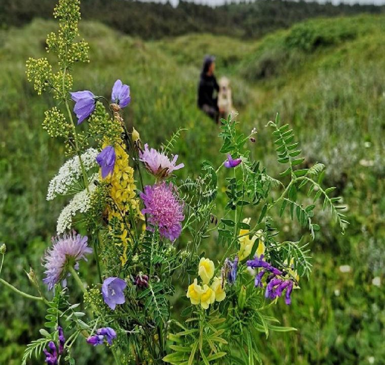 Photo of Others in Hirtshals