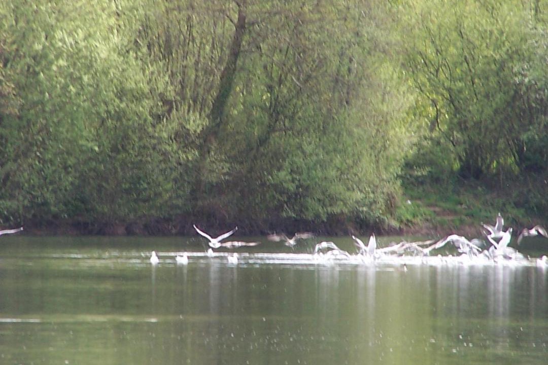 Photo of Others in Evran