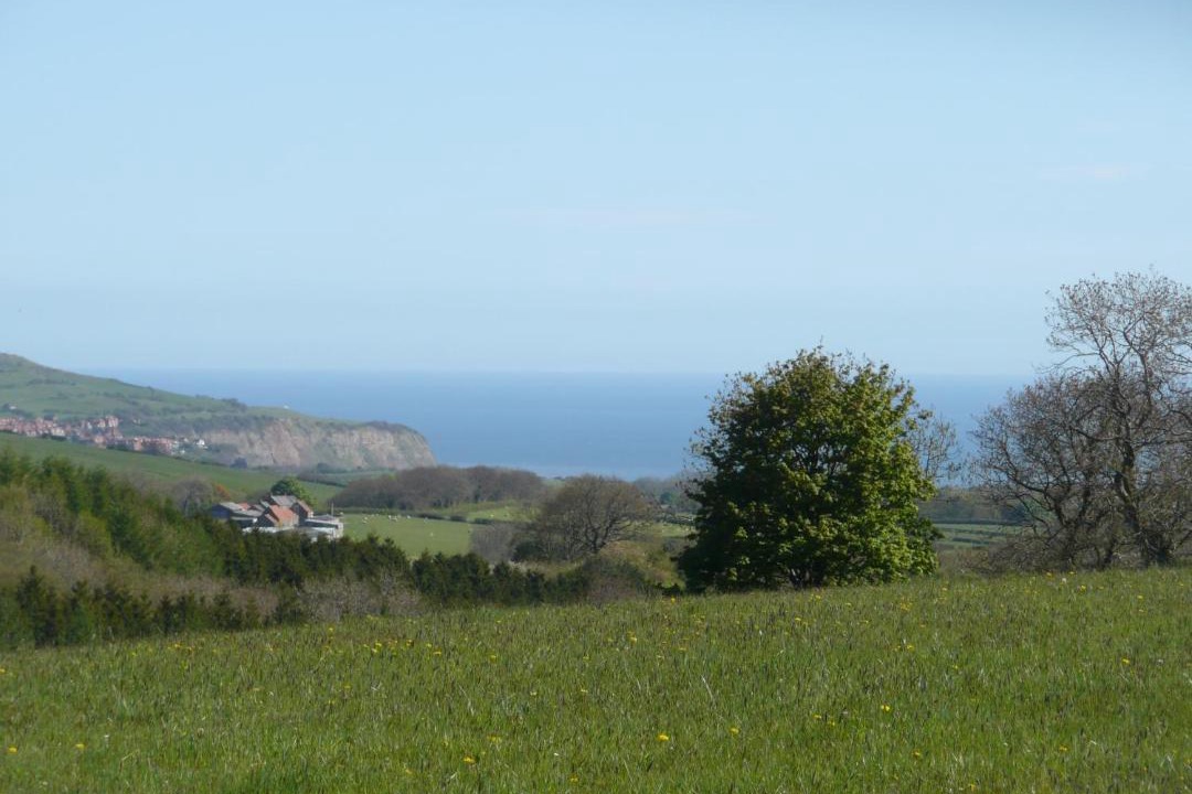 Photo of Others in Briggswath