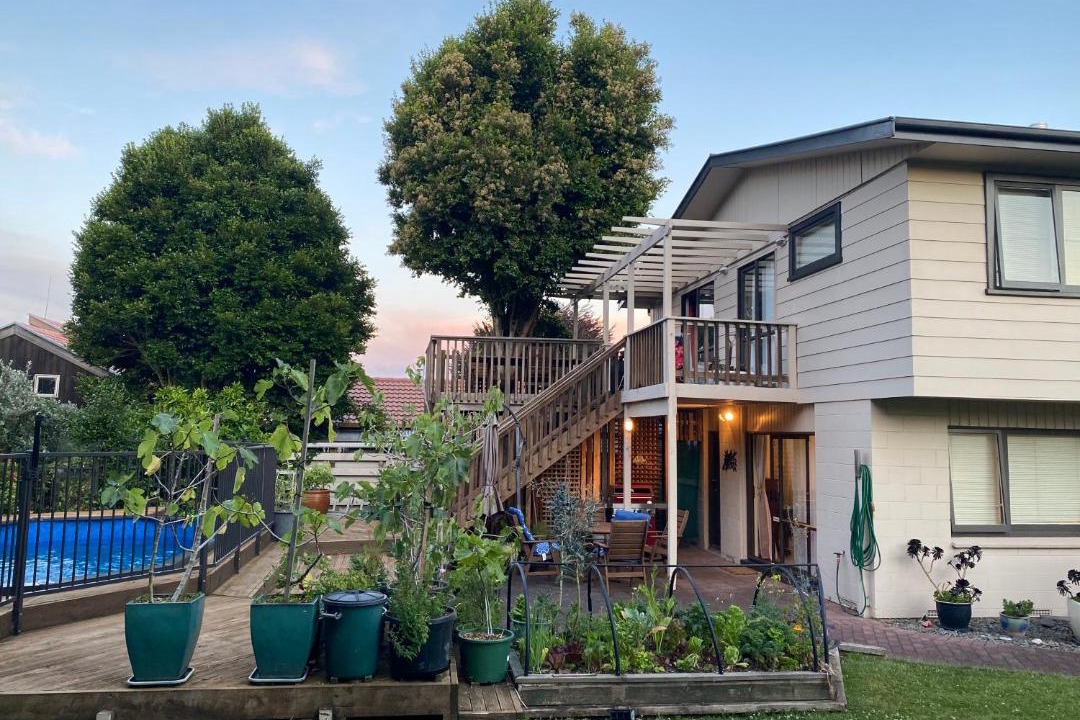 Photo of Others in Tauranga