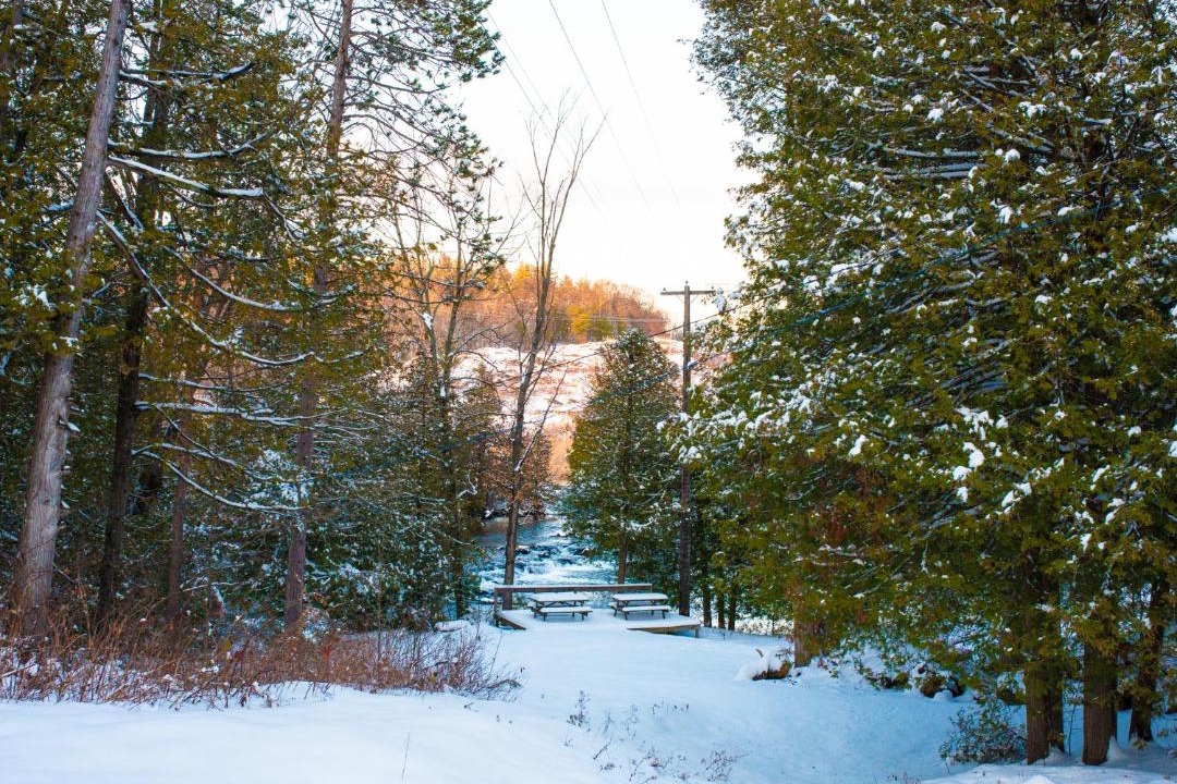 Photo of Others in Bishop Corners