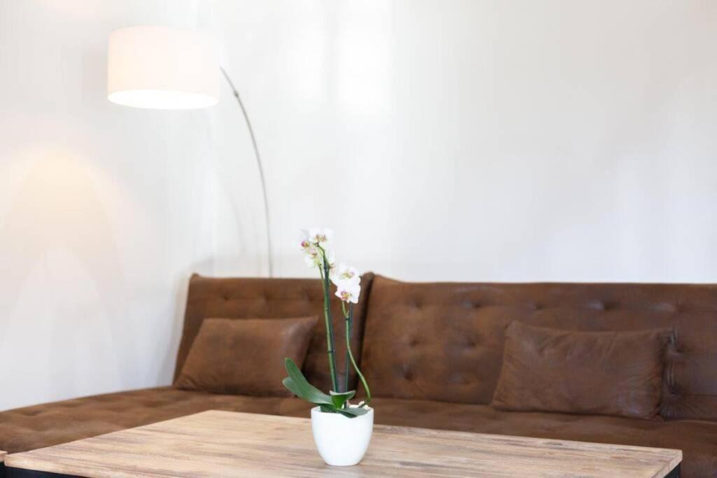 Photo of Livingroom in Audrieu