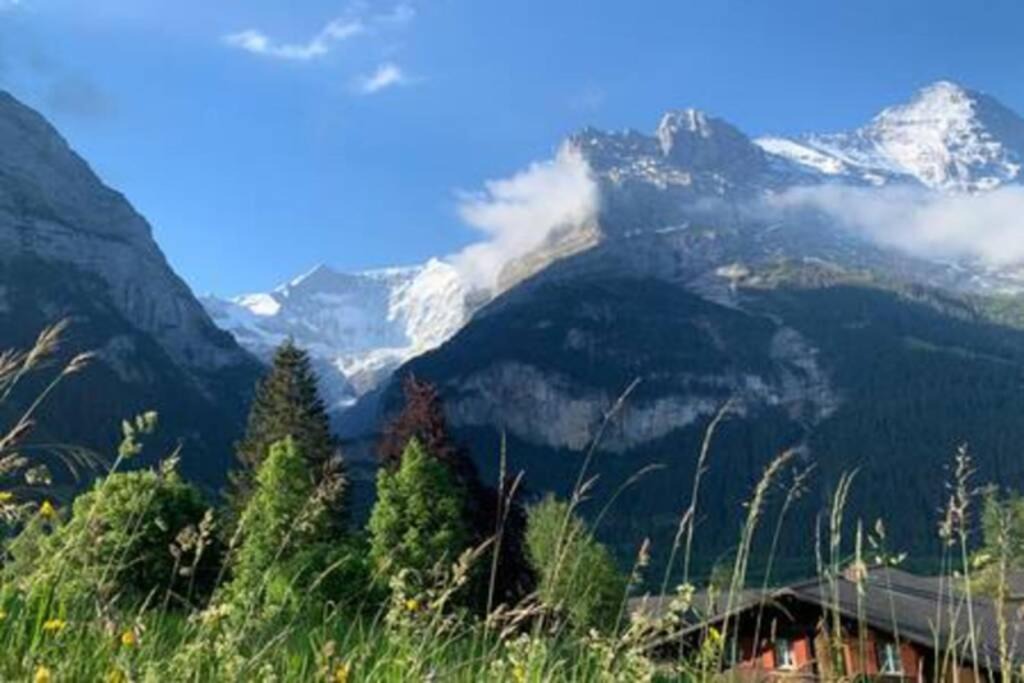 Photo of Others in Grindelwald
