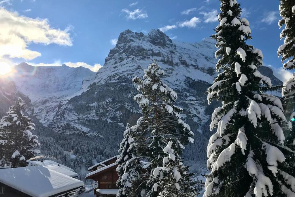 Photo of Others in Grindelwald