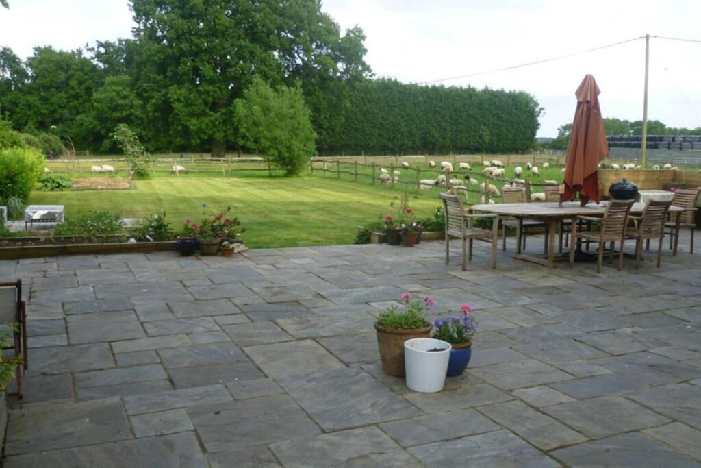 Photo of Others in Haslemere