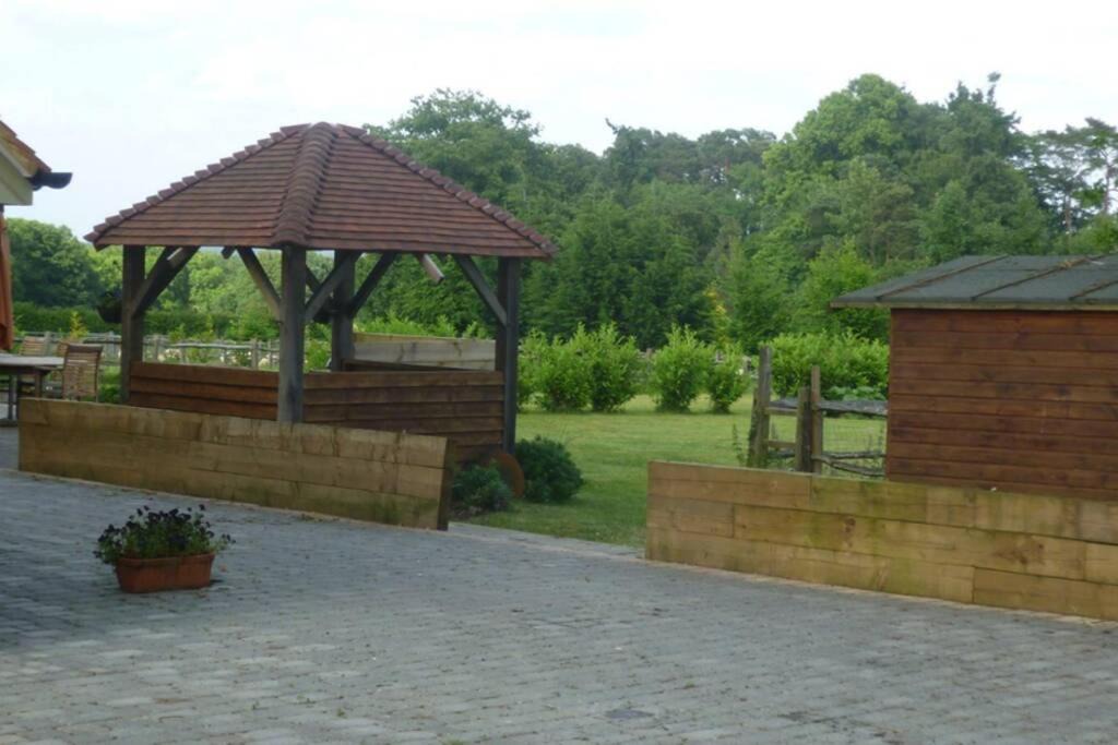 Photo of Buildings in Haslemere