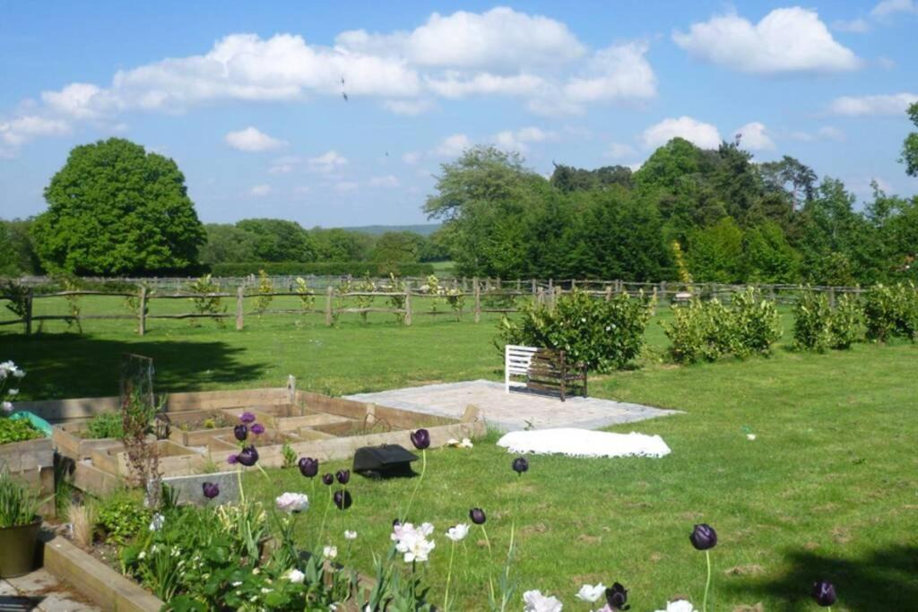 Photo of Others in Haslemere