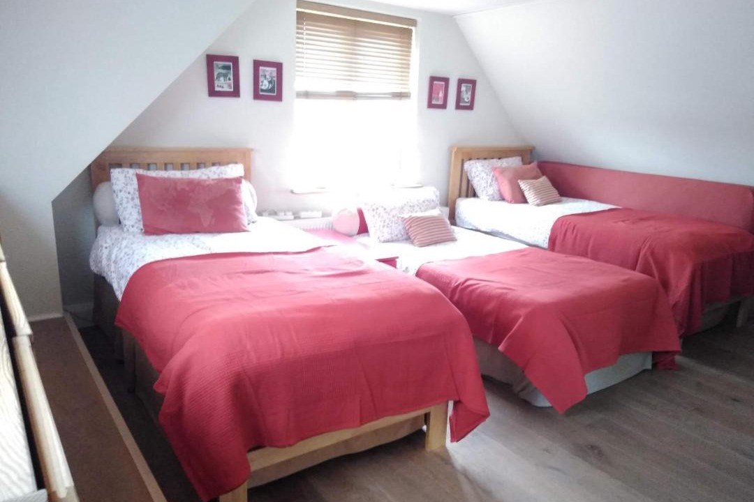 Photo of Others in Furzedown