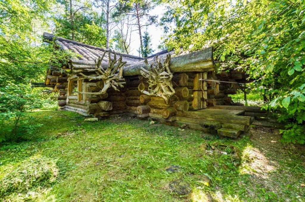 Photo of Others in Zvenigorod