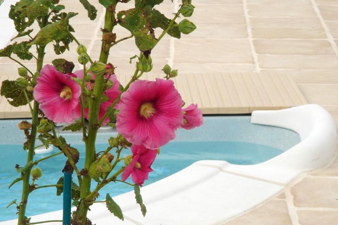 Photo of Others in Bussac-Foret