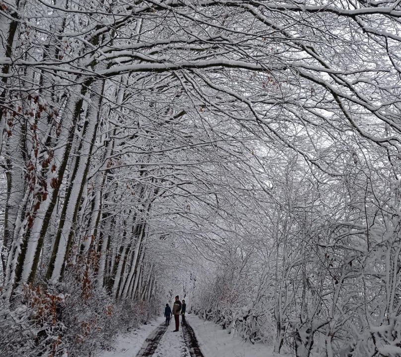 Photo of Others in Revin