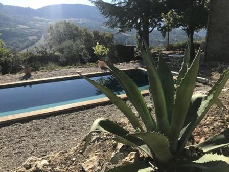 Photo of Outdoor in Condorcet