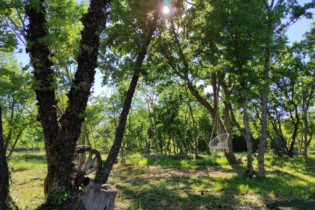 Photo of Outdoor in Oklaj