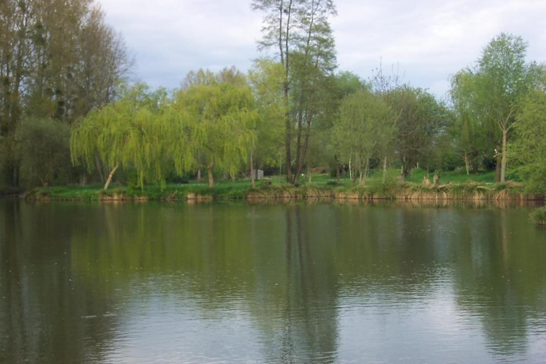 Photo of Outdoor in Le Guedeniau