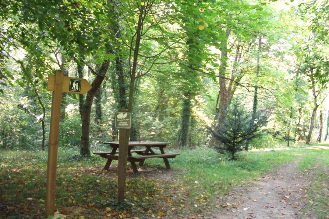 Photo of Others in Le Guedeniau