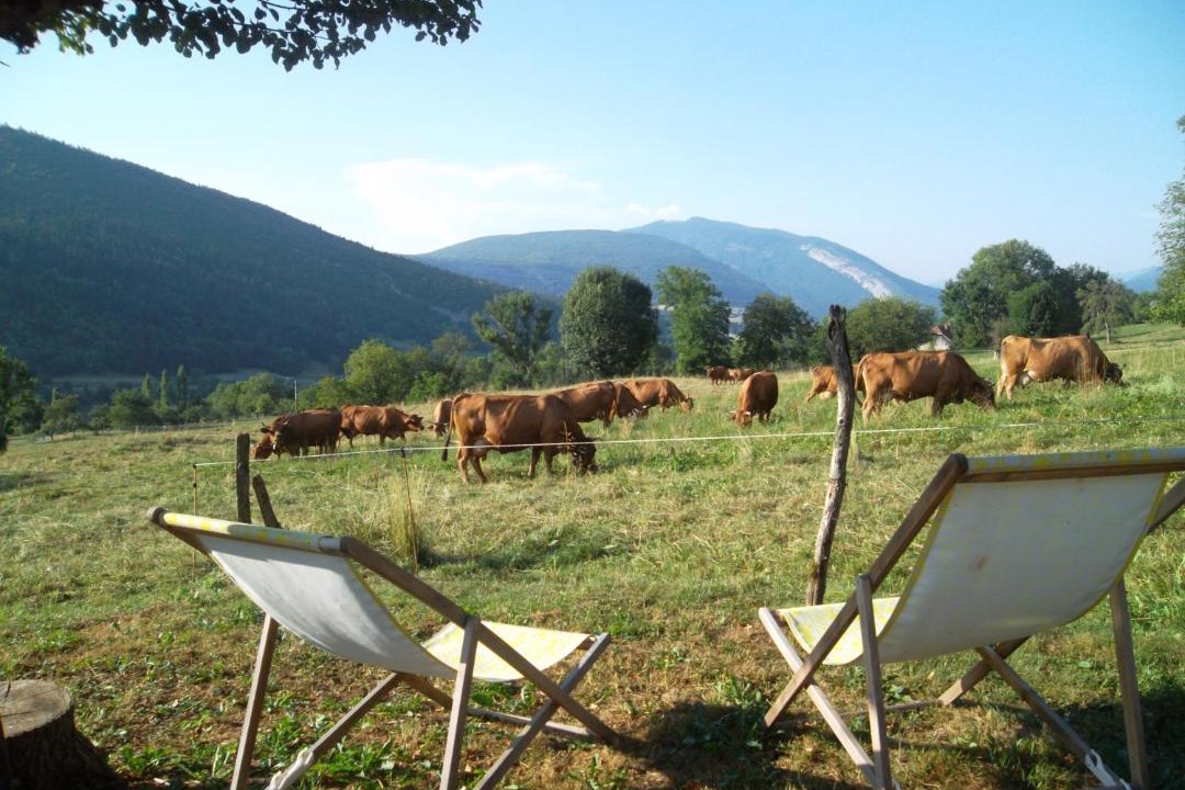 Photo of Others in Le Noyer