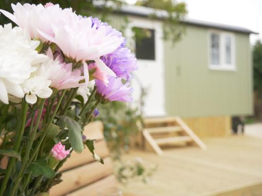 Photo of Others in Clayton