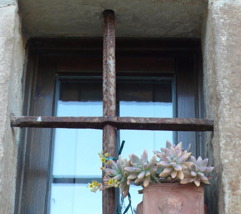 Photo of Others in Azuelo