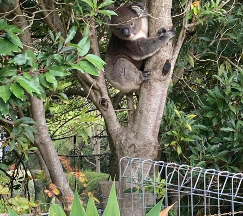 Photo of Others in Stirling