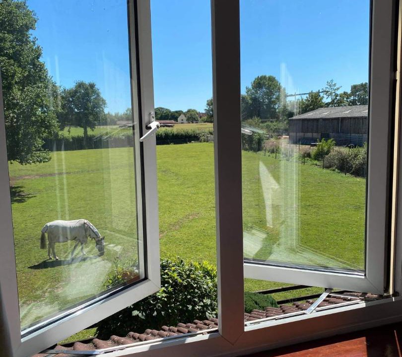 Photo of Others in Cannington