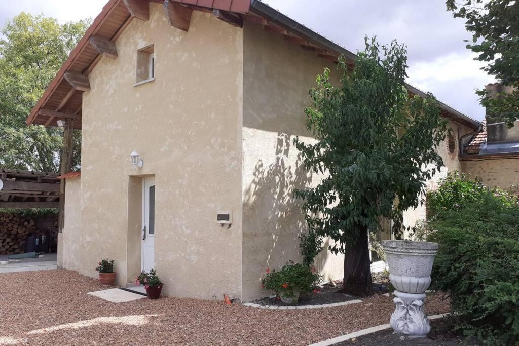 Photo of Buildings in Saint-Clement-de-Regnat