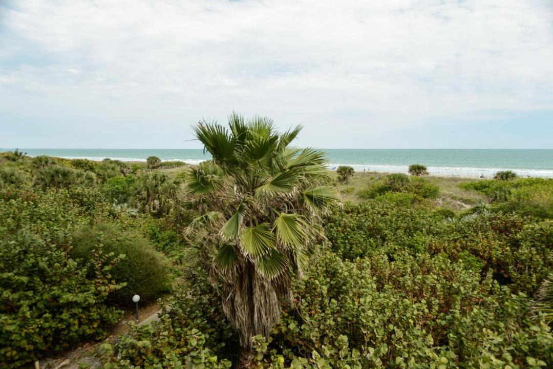 Photo of Others in Port Canaveral