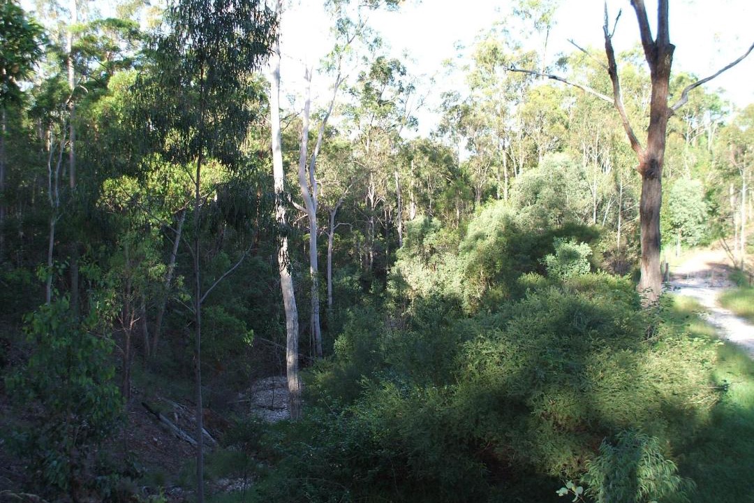 Photo of Others in Bullyard