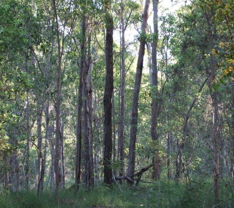 Photo of Others in Bullyard
