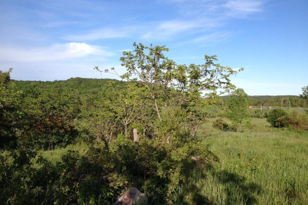 Photo of Outdoor in Mulmur