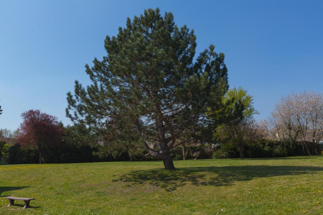 Photo of Others in Chaumontel