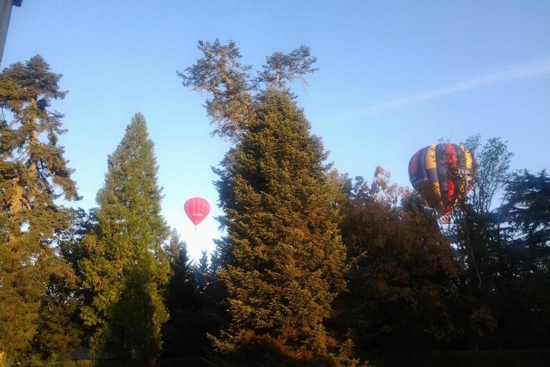 Photo of Others in Chenonceaux