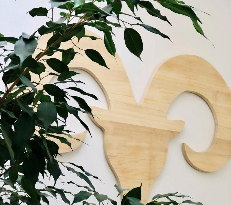 Photo of Others in Viella